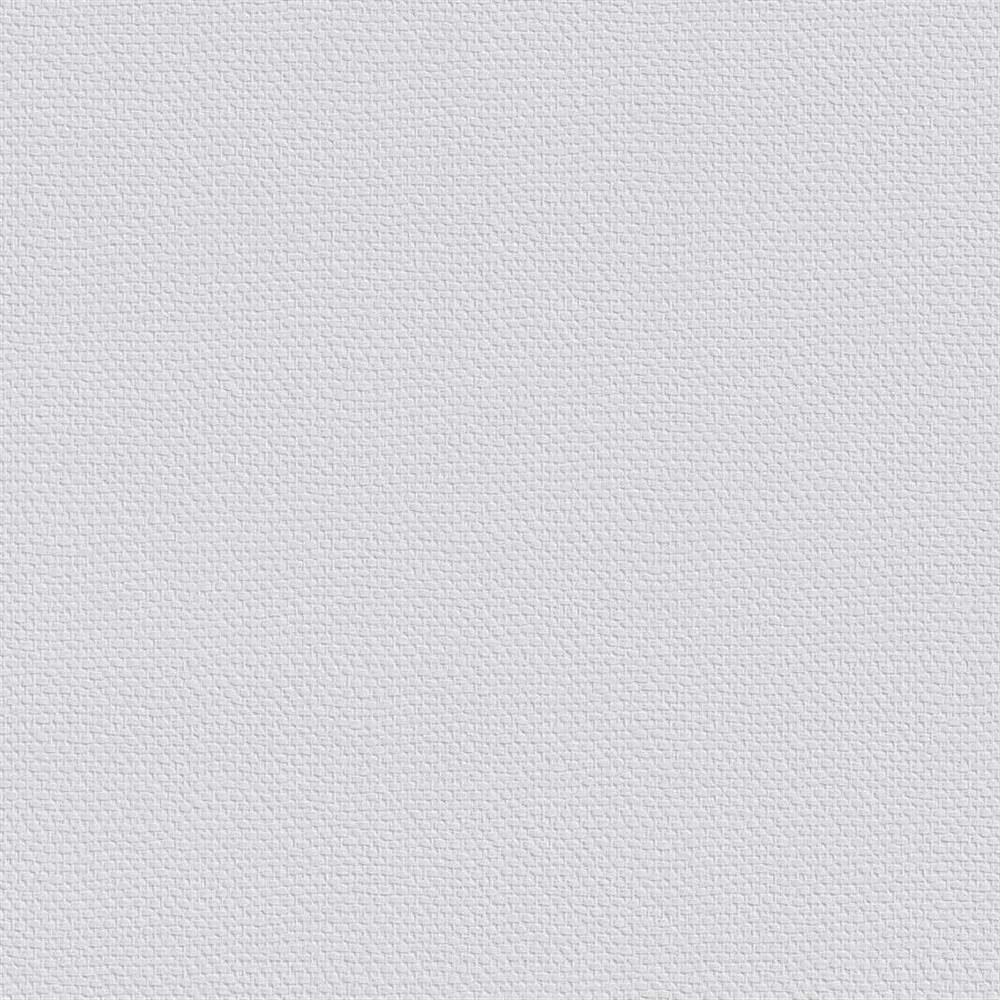ERFURT VLIESFASER PROTECT 205 Vliestapete 10,05 x 0,53 m - 1 Rolle