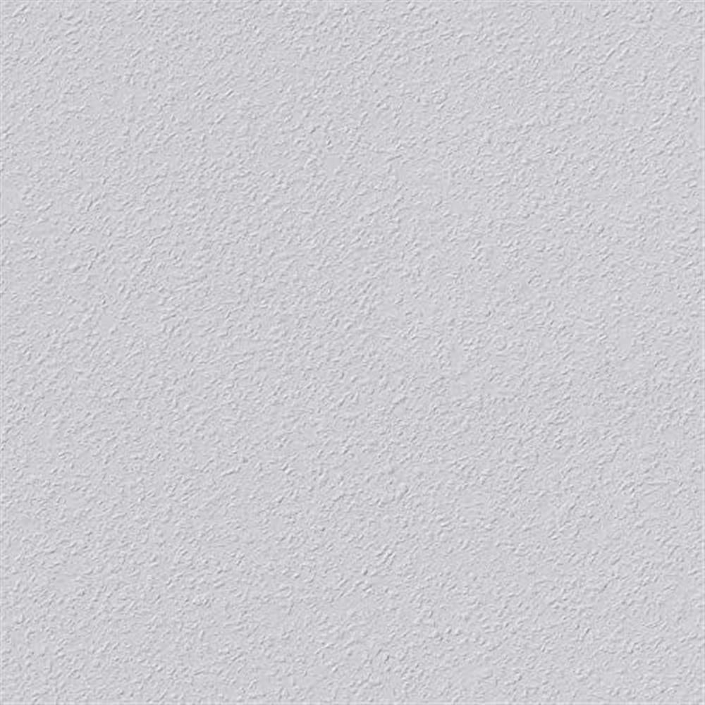 1 Rolle ERFURT Rauhfasertapete mittlere Struktur, 20 m x 0,53 m