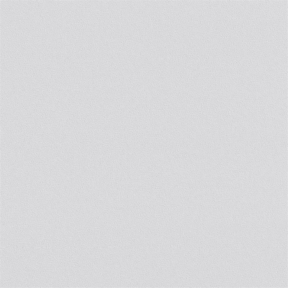 ERFURT VLIESFASER PROTECT 210 Vliestapete 10,05 x 0,53 m - 1 Rolle