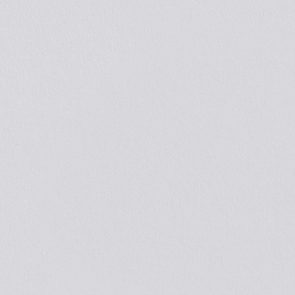 6 Rollen ERFURT Vliestapete Variovlies Plano Superweiß 20 m x 0,53 m, weiß