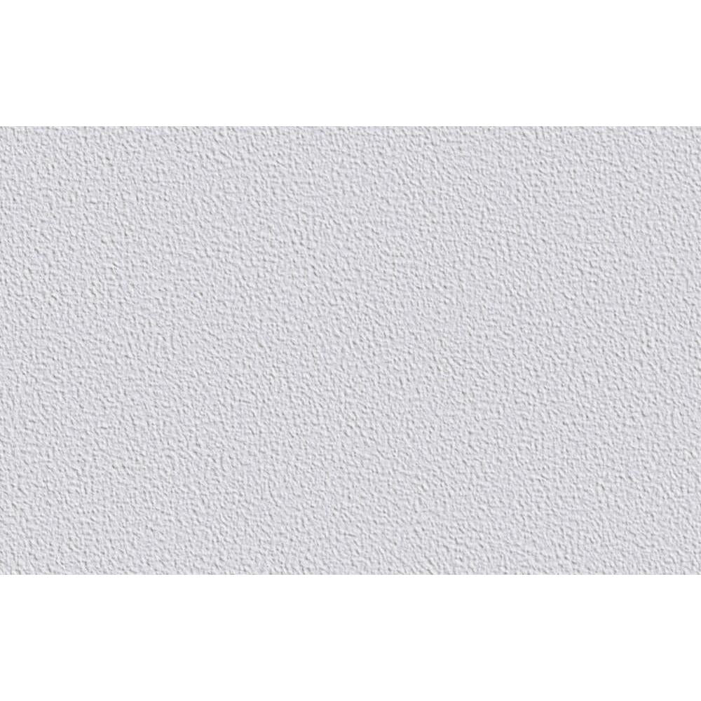 1 Rolle ERFURT Vliestapete Variovlies Sand 25 m x 0,75 m, weiß