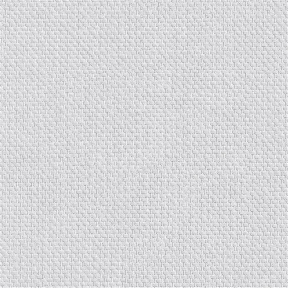 6 Rollen ERFURT VLIESFASER PROTECT 211 Vliestapete 10,05 x 0,53m weiß