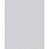 1 Rolle ERFURT Vlies-Rauhfasertapete RUSTIC, 10,05 m x 0,53 m, Vliestapete
