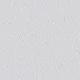 ERFURT VLIESFASER PROTECT 212 Vliestapete 10,05 x 0,53 m - 1 Rolle