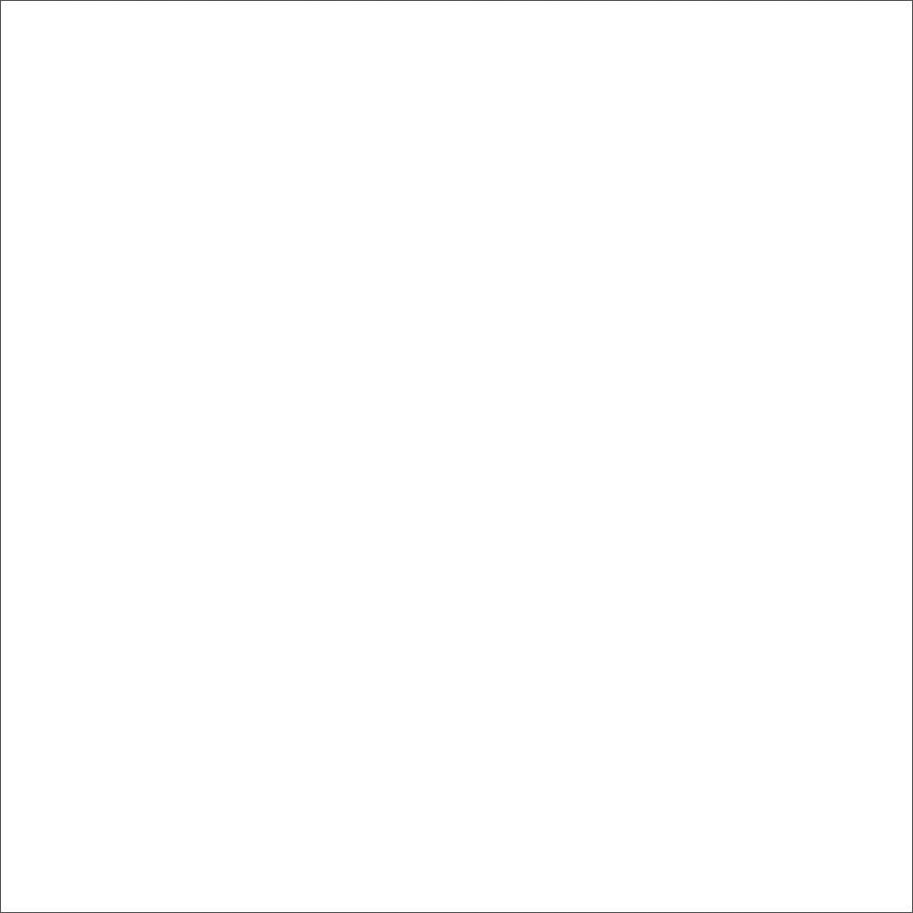 Albrecht Flüssigkunststoff Kunststoff Flüssig Bodenbeschichtung farblos 750ml
