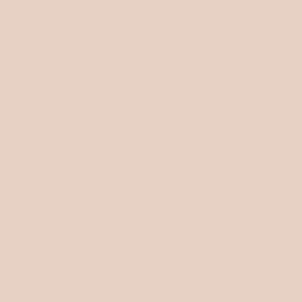 Wilckens Raumcolor Savanne 5 Liter Wandfarbe Beige